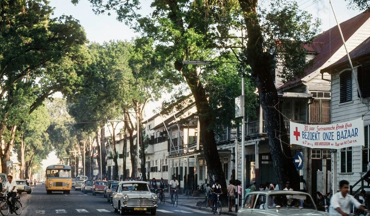 Historisch straatbeeld met bomen, houten gebouwen en auto's